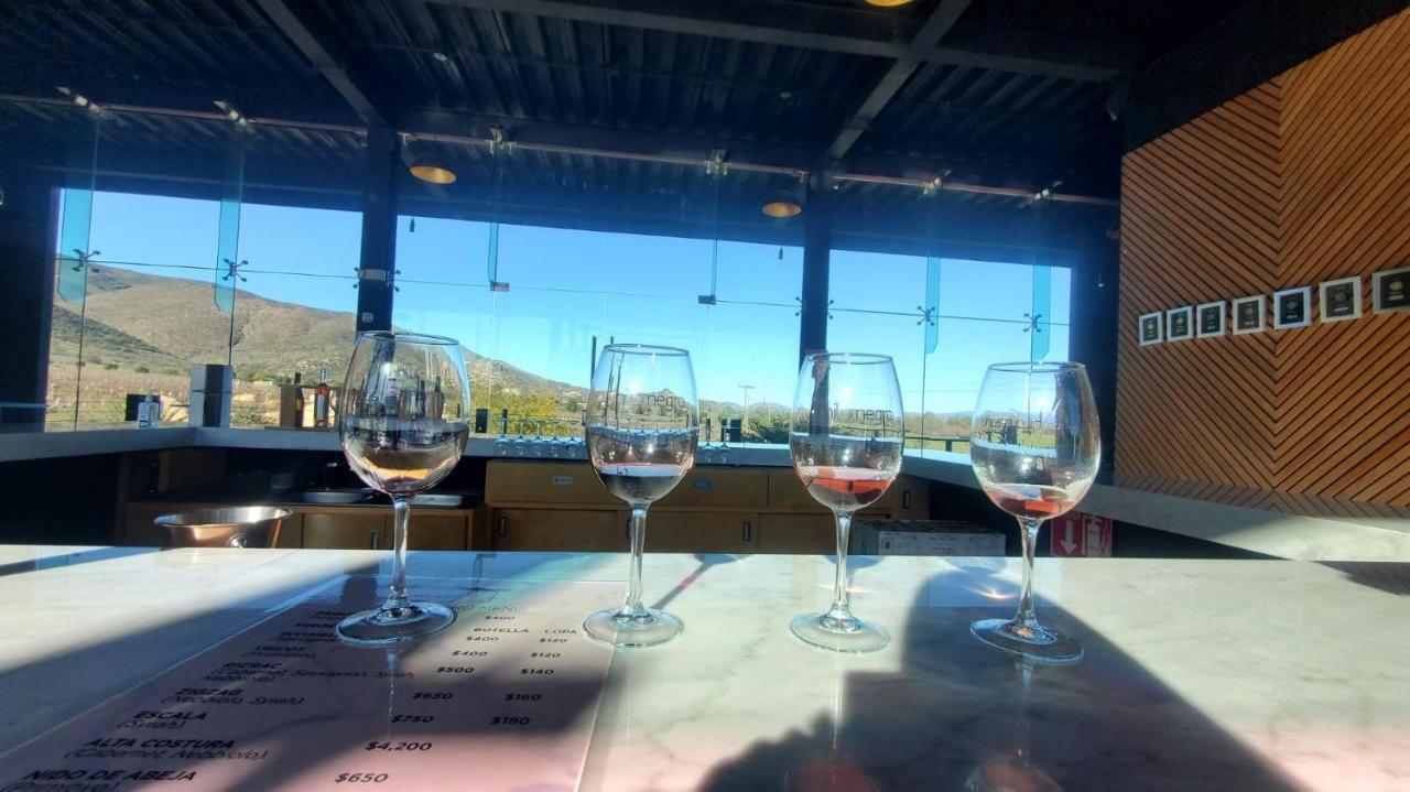 Ecovino Valle De Guadalupe Εξωτερικό φωτογραφία